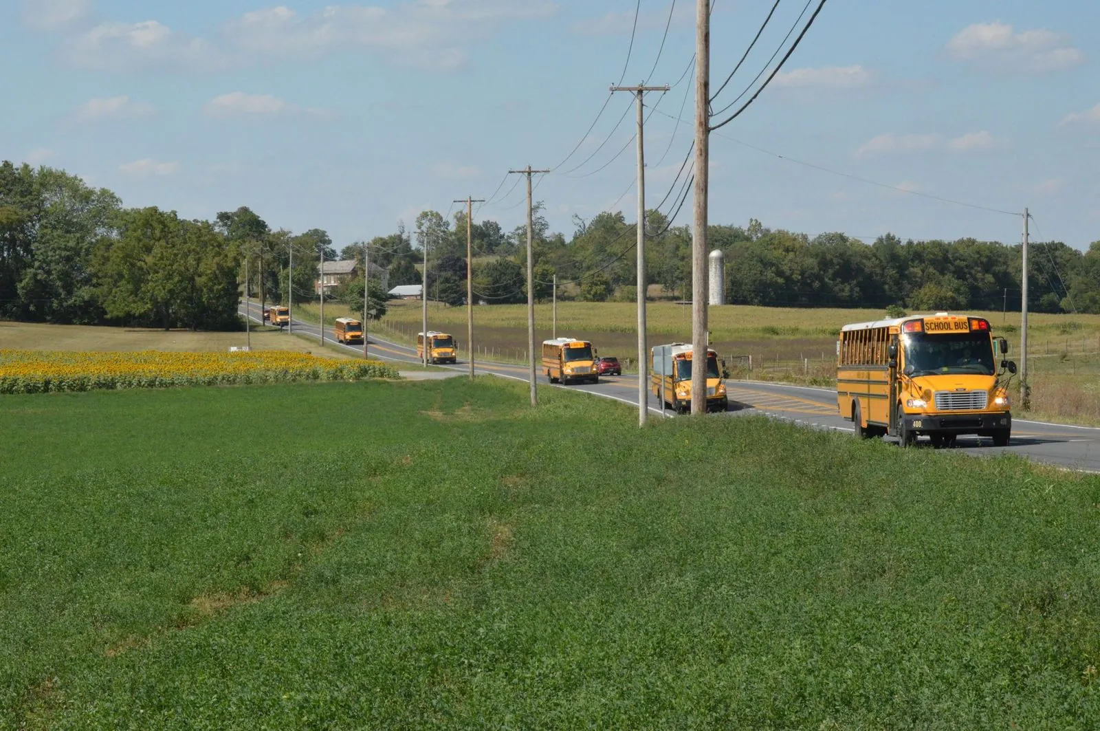 Electric School Buses in Canada 2026: Progress and Challenges