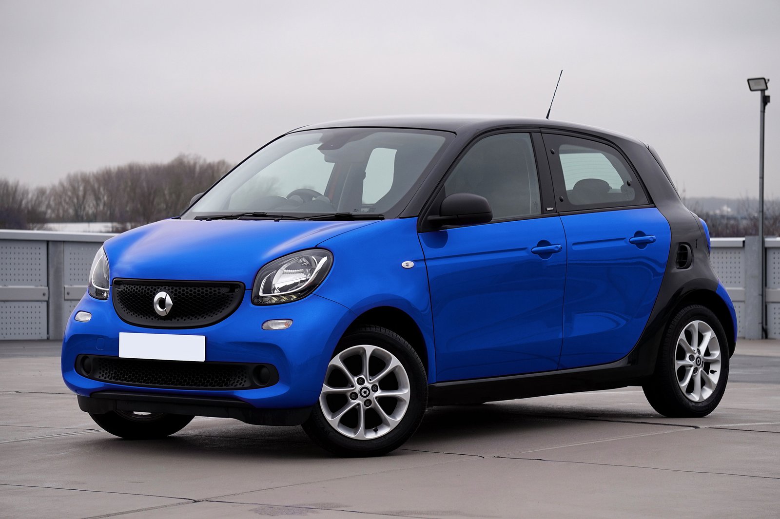 EV Sales Gather Momentum as More Affordable Options Hit Canadian Market