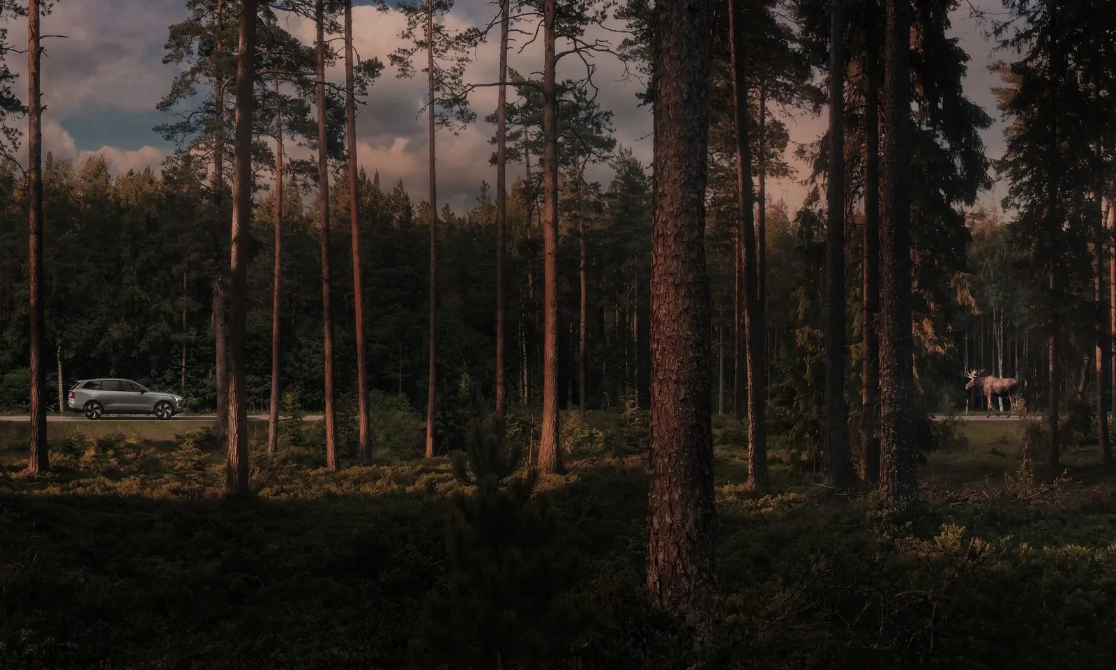 Volvo's EX60 and EX90 Will Warn Canadian Drivers About Moose on the Road Ahead